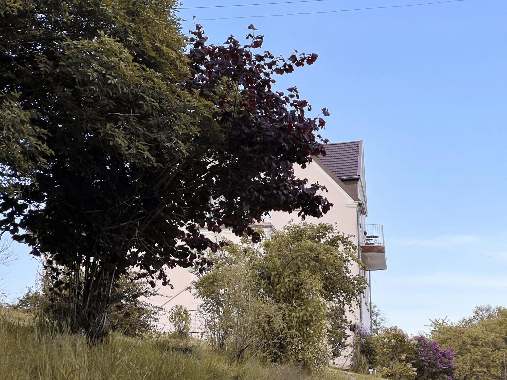 Villa Ueberblick Nalbach Bagian luar foto