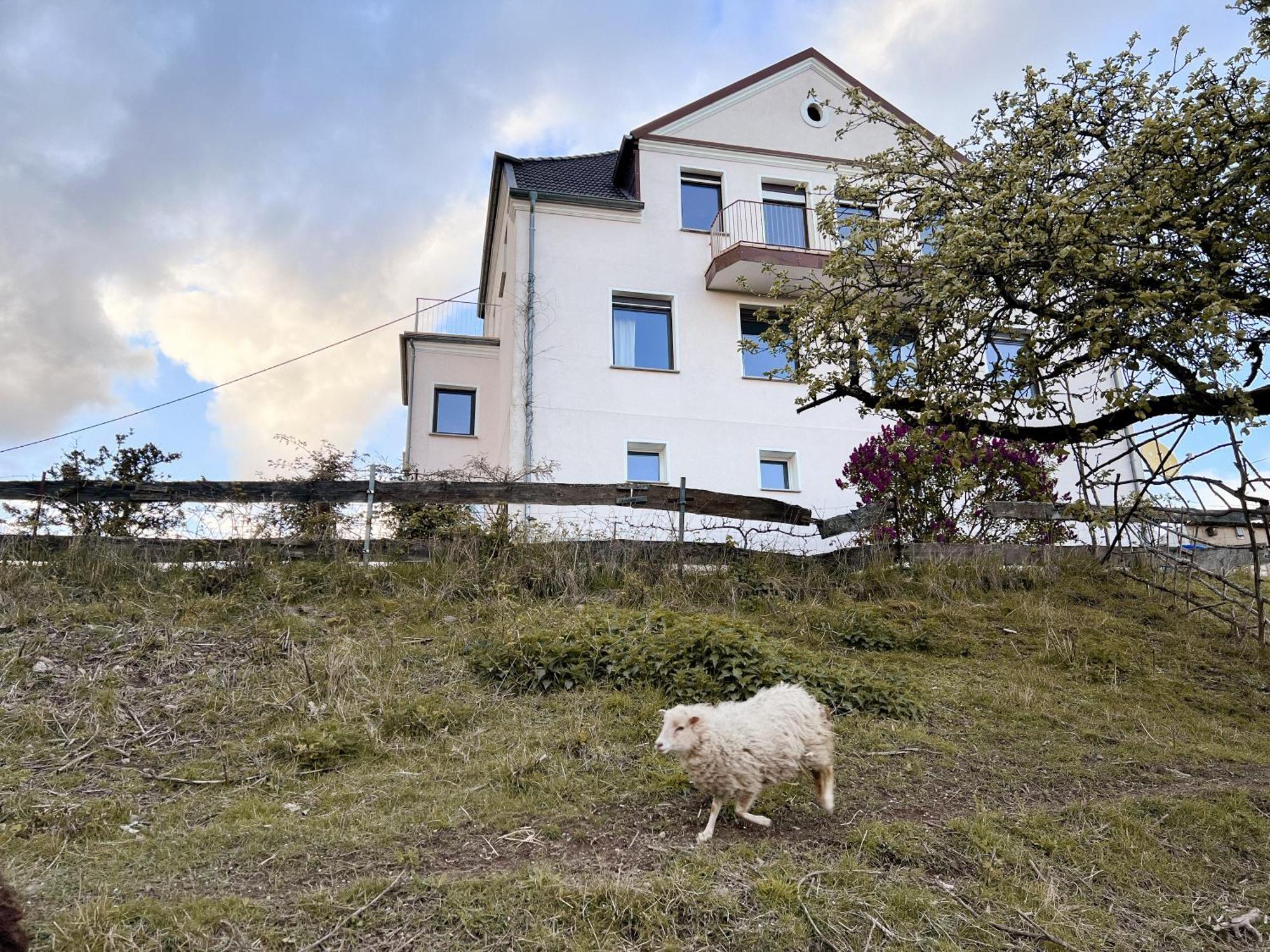 Villa Ueberblick Nalbach Bagian luar foto