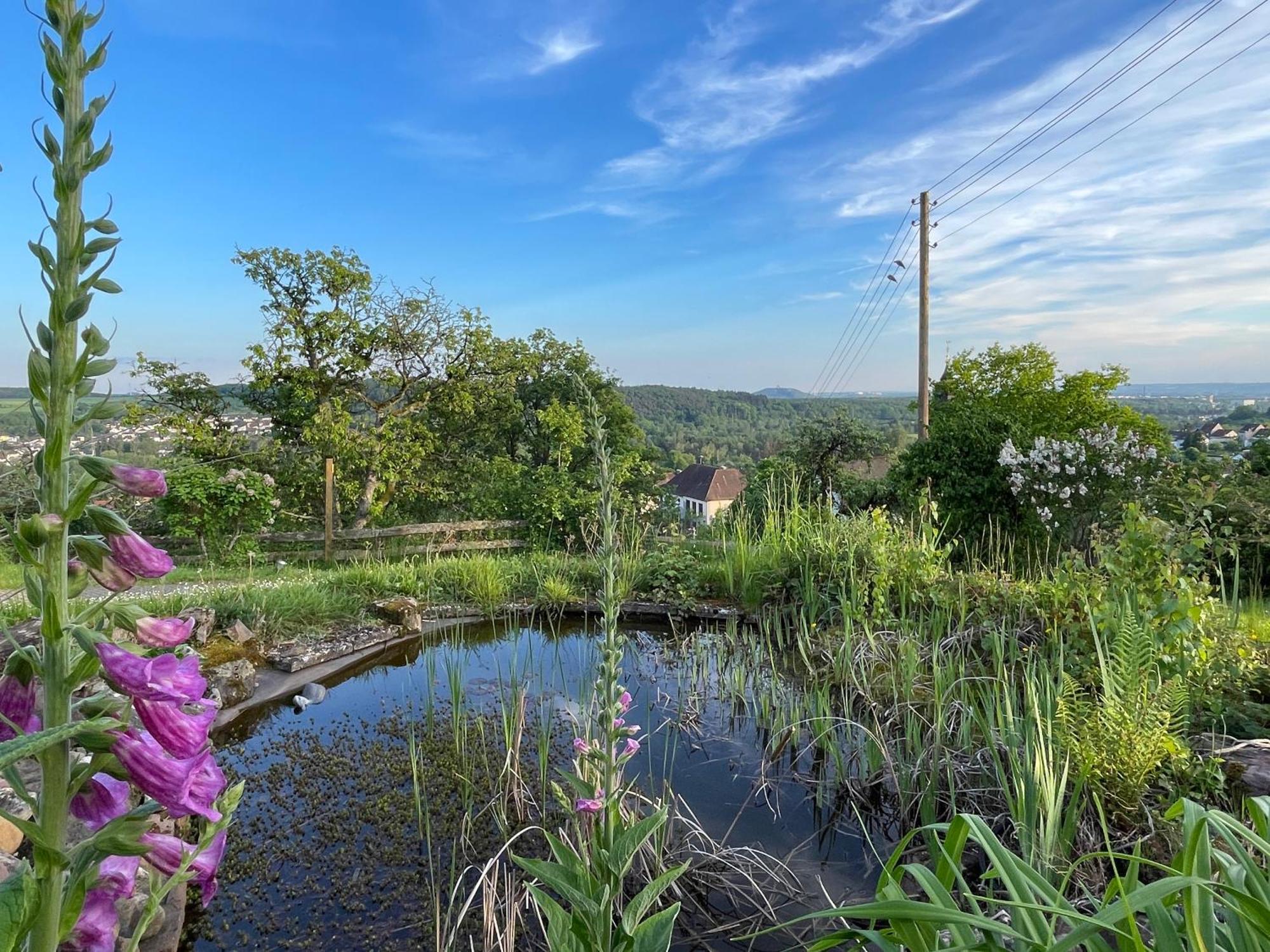 Villa Ueberblick Nalbach Bagian luar foto